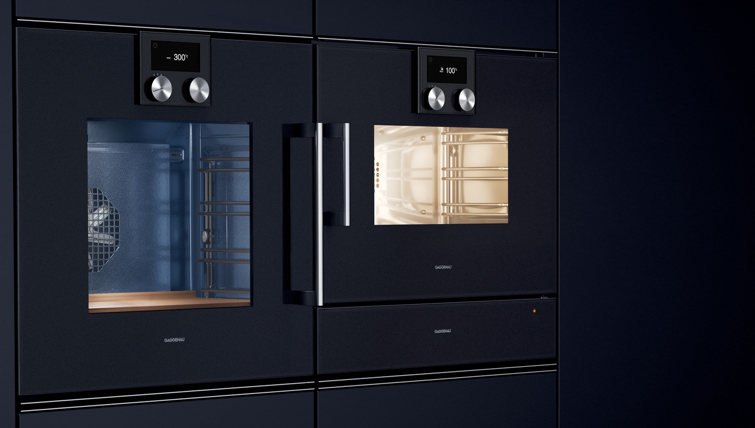 Gaggenau BMP 250-100 Gaggenau BMP 250-100