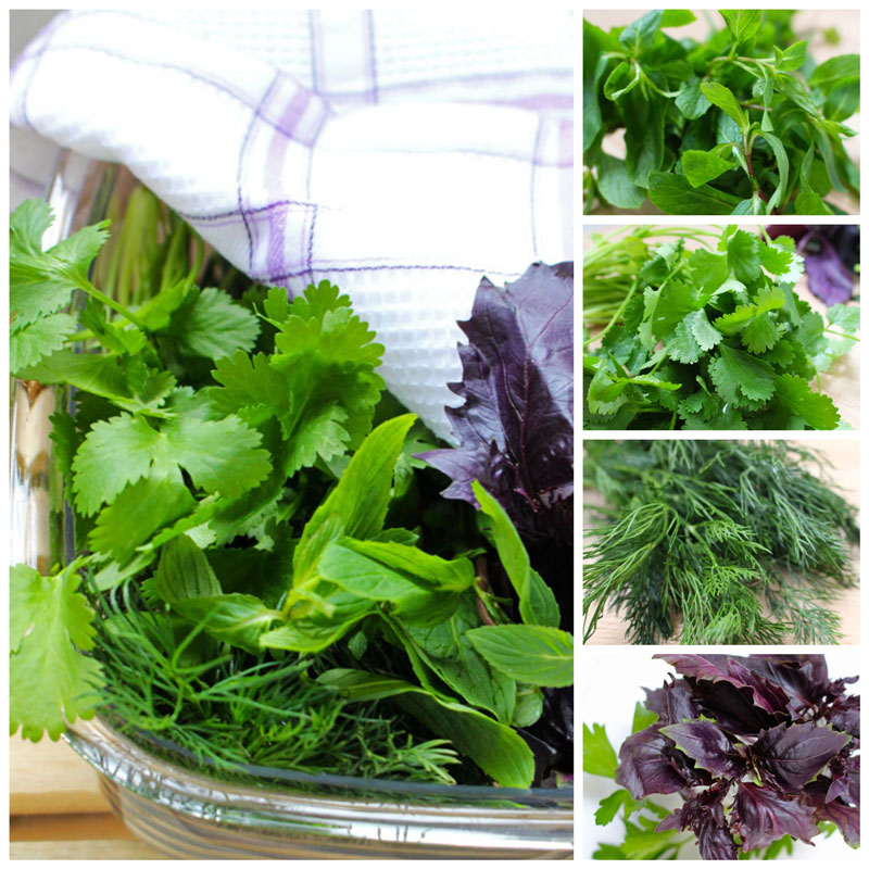 Как хранить зелень Как хранить зелень