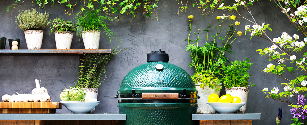 Бытовая техника Big Green Egg Бытовая техника Big Green Egg