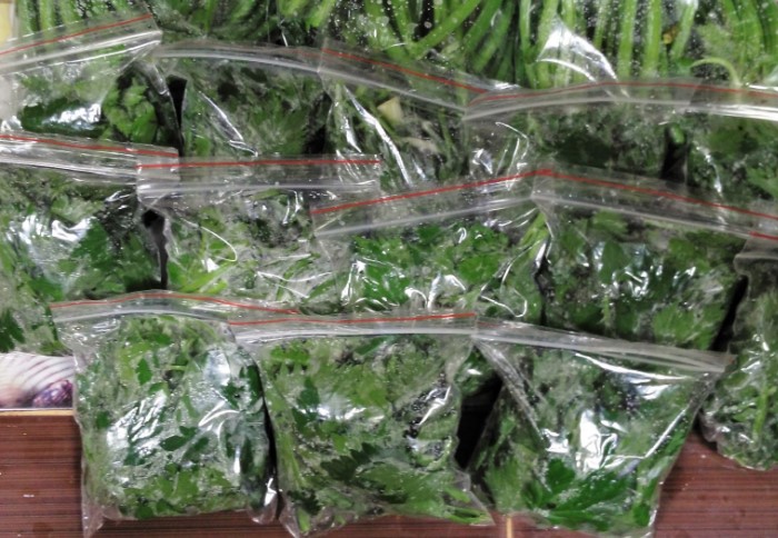 Как хранить зелень Как хранить зелень