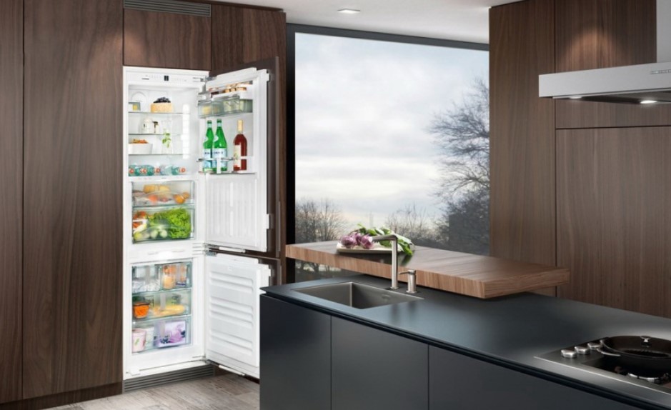 Встраиваемый холодильник фото в интерьере