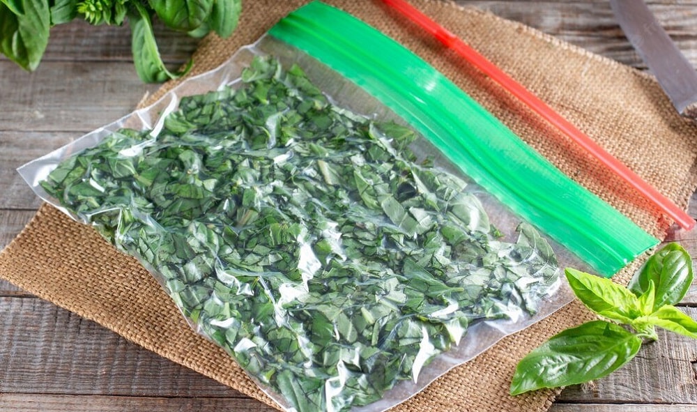 Как хранить зелень Как хранить зелень
