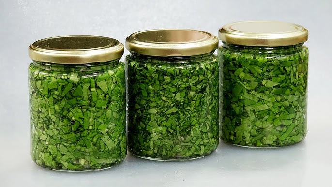 Как хранить зелень Как хранить зелень