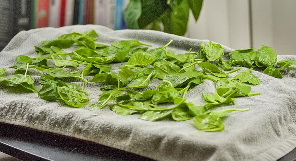 Как хранить зелень Как хранить зелень