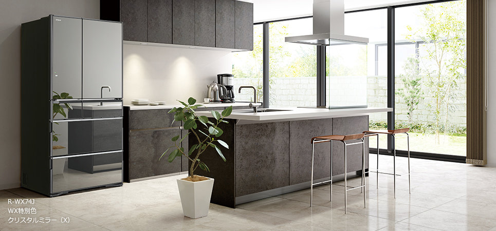 Hitachi R-X 690 GU X