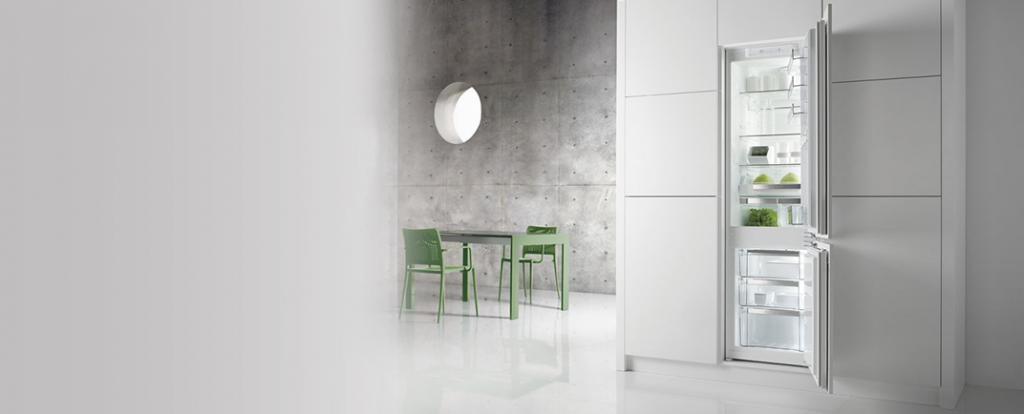 Холодильники Gorenje Plus Холодильники Gorenje Plus