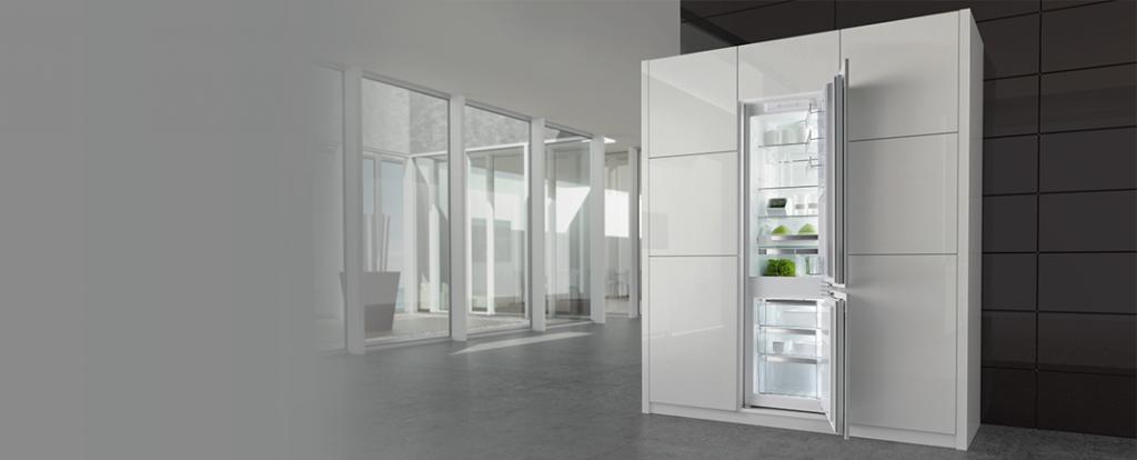 Холодильники Gorenje Plus Холодильники Gorenje Plus