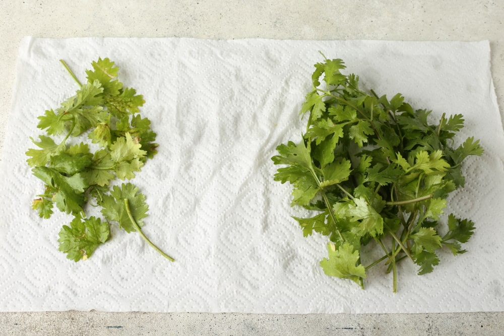 Как хранить зелень Как хранить зелень