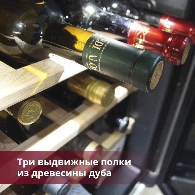 Винный шкаф Indel B BUILT-IN 24 HOMME PLUS (фото 4) Винный шкаф Indel B BUILT-IN 24 HOMME PLUS (preview 4)