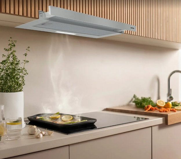 Встраиваемая вытяжка Gorenje TH60E5X (preview 6)