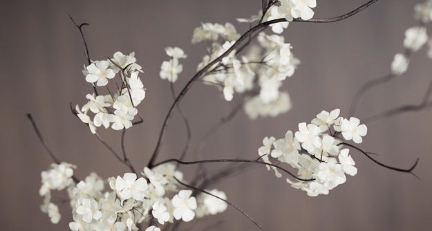 Сушильная машина Toshiba TD-T21B90HWRU(MG) (video 1)