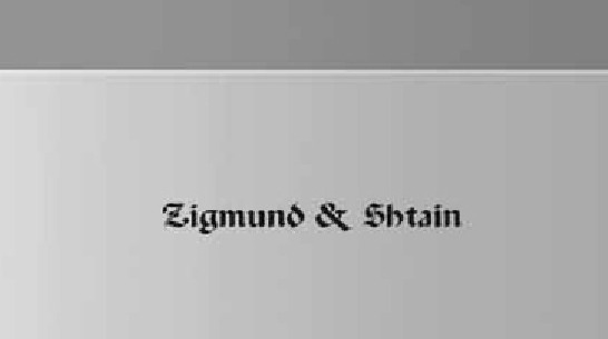 Духовой шкаф Zigmund Shtain BN 09.501 S (preview 5)