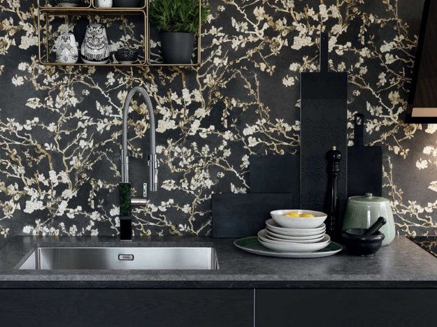 Мойка Franke BXX 210-68 сталь (preview 2)