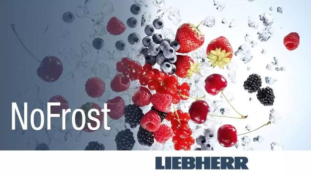 Морозильник Liebherr GN 3835 Comfort NoFrost (preview 10)