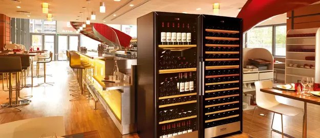 Винный шкаф EuroCave S3181T (фото 5) Винный шкаф EuroCave S3181T (preview 5)