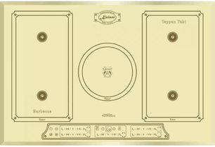 Индукционная варочная поверхность Кайзер KCT 7797 FI ElfEm фото Индукционная варочная поверхность Kaiser KCT 7797 FI ElfEm фото