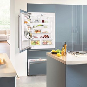 Встраиваемый холодильник Либхер ECBN 6156 Premium Plus NoFrost фото 3 Встраиваемый холодильник Liebherr ECBN 6156 Premium Plus NoFrost фото 3