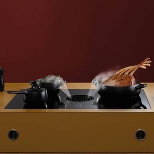 Индукционная варочная панель со встроенной вытяжкой BORA PUXA фото 3