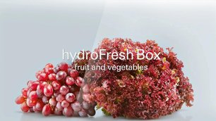 Холодильник Сименс KG 49NAI22R фото 3 Холодильник Siemens KG 49NAI22R фото 3