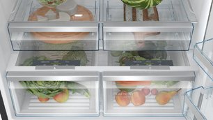 Двухкамерный холодильник Bosch KGP86AXB0N фото 4