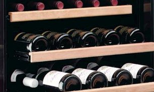 Винный шкаф ИП C 500 CF фото 2 Винный шкаф IP C 500 CF фото 2