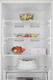 Холодильник Вестфрост VF 373 ED фото 4 Холодильник Vestfrost VF 373 ED фото 4