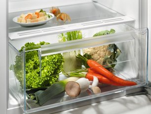 Встраиваемый холодильник Electrolux LRB3AE12S фото 3