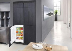 Холодильник Либхер IB 1650 фото 4 Холодильник Liebherr IB 1650 фото 4