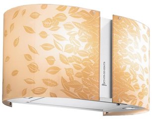 Вытяжка Фалмек Mirabilia 67 Natura Gold vetro (800) ECP фото Вытяжка Falmec Mirabilia 67 Natura Gold vetro (800) ECP фото