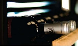 Винный шкаф ИП NCK 501 CF фото 2 Винный шкаф IP NCK 501 CF фото 2