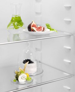 Встраиваемый холодильник Electrolux LRB3AE12S фото 4