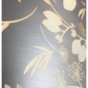 Вытяжка Фалмек Mirabilia Isola 67 Moon Light Vetro (800) ECP фото 2 Вытяжка Falmec Mirabilia Isola 67 Moon Light Vetro (800) ECP фото 2