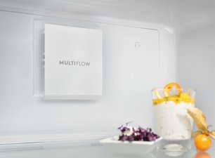 Холодильник Электролюкс RRT5MF38W1 фото 2 Холодильник Electrolux RRT5MF38W1 фото 2