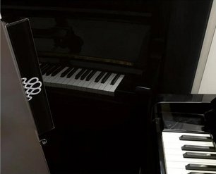 Монотемпературный винный шкаф EuroCave V-REVEL-S R-400016-S2W фото 3