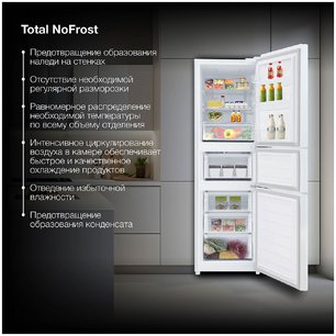 Холодильник Hyundai CM30073F белый фото 4