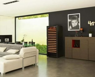 Монотемпературный винный шкаф EuroCave V-PURE-L P-300048-L фото 3