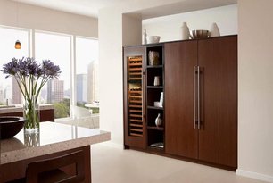 Встраиваемый холодильник Sub-Zero ICBIC-30RID-LH фото 3 Встраиваемый холодильник Sub-Zero ICBIC-30RID-LH фото 3