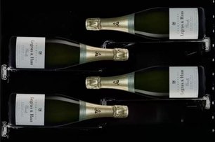 Винный шкаф Дунавокс DX-58.258DSS фото 3 Винный шкаф Dunavox DX-58.258DSS фото 3