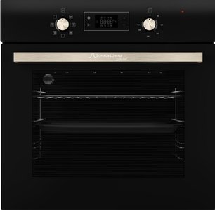 Духовой шкаф Schaub Lorenz SLB EY6625 фото
