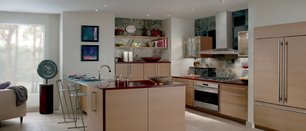 Вытяжка Вольф ICBVW30S фото 4 Вытяжка Wolf ICBVW30S фото 4