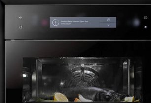 Встраиваемый паровой шкаф БОРА XBO фото 4 Встраиваемый паровой шкаф BORA XBO фото 4