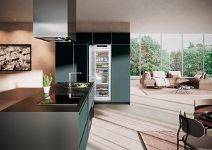 Встраиваемая морозильная камера Либхер SIFNe 5188 Peak фото 4 Встраиваемая морозильная камера Liebherr SIFNe 5188 Peak фото 4