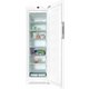 Морозильник Miele FN28263 ws