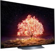 Телевизор LG OLED55B1RLA фото 4