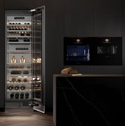 Духовой шкаф с микроволнами и паром Signature Kitchen Suite SKSLV2401S фото 3