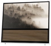 Телевизор Бэнг Олуфсен BeoVision 14-55 фото 2 Телевизор Bang & Olufsen BeoVision 14-55 фото 2