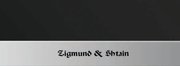 Духовой шкаф Zigmund Shtain EN 59.511 S фото 3