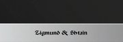 Духовой шкаф Zigmund Shtain EN 59.512 S фото 3