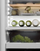 Встраиваемый холодильник BORA C178KGWS2 фото 4