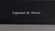 Духовой шкаф Zigmund Shtain EN 142.921 S фото 4